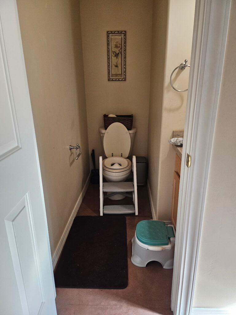 Training potty chair used for potty training a grandchild