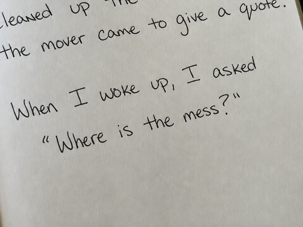 becoming a grandmother later in life. A journal written in a granddaughter's voice, kept by her grandmother.